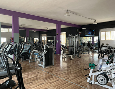 Palestra empire Matino