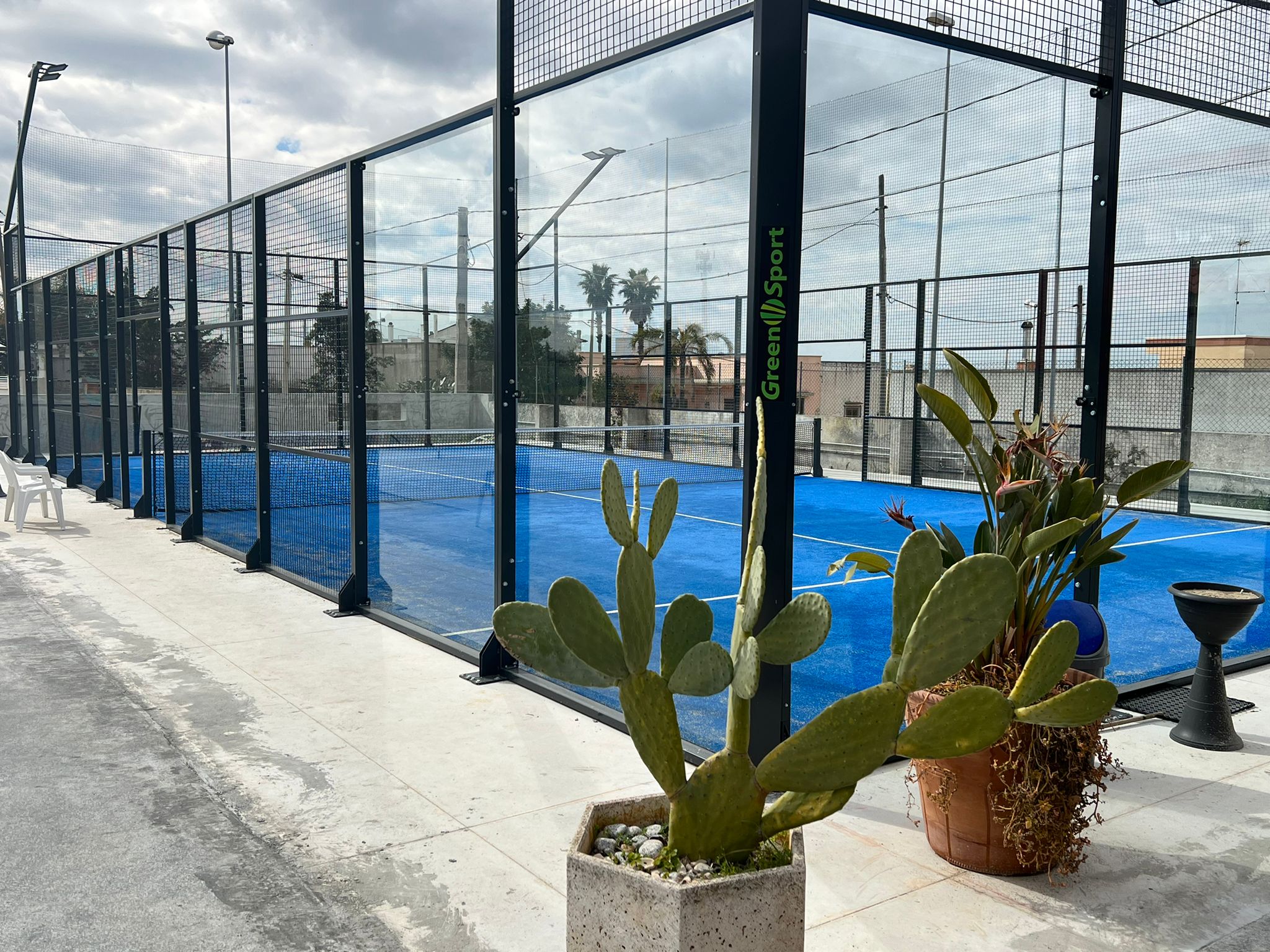 Palestra empire Matino